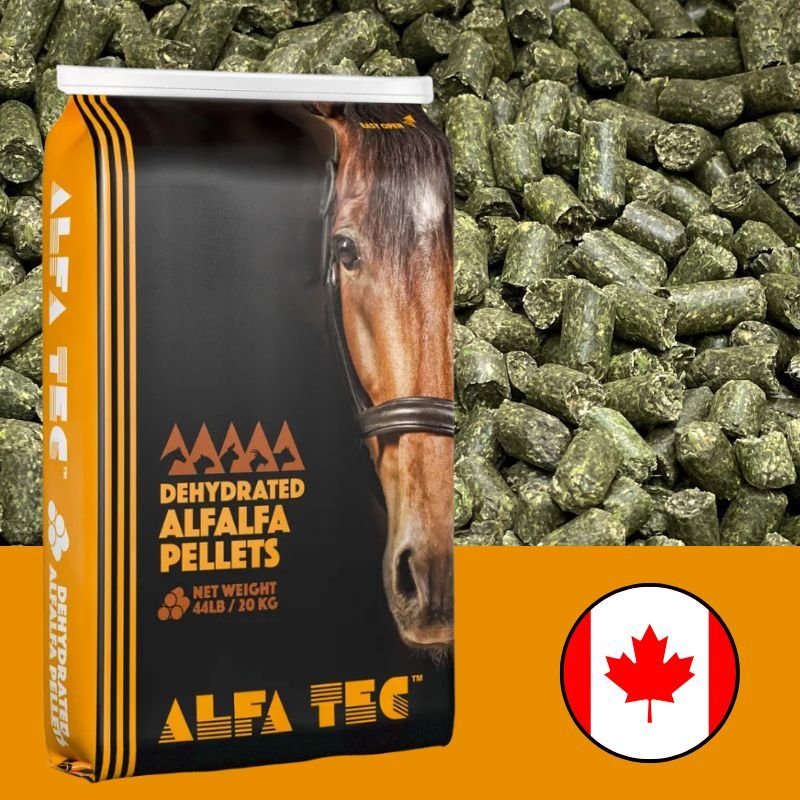 ALFALFA PELLETS 20 KG - Valley Direct Foods - All - Canadian - Country West