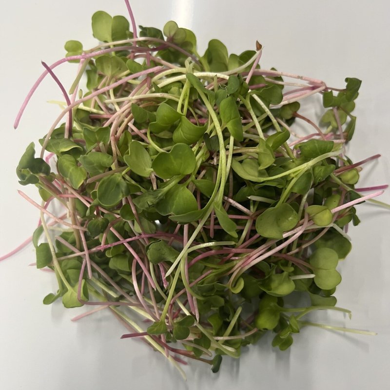 Chefs Blend Micro Greens - 50gm - Valley Direct Foods - All - Canadian - Fresh Vegetable