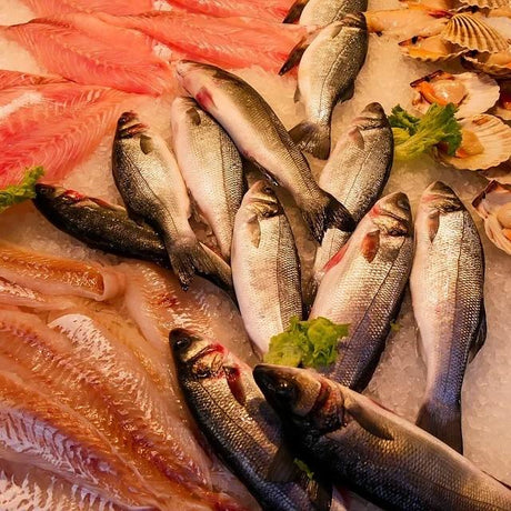 Seafood | Valley Direct Foods