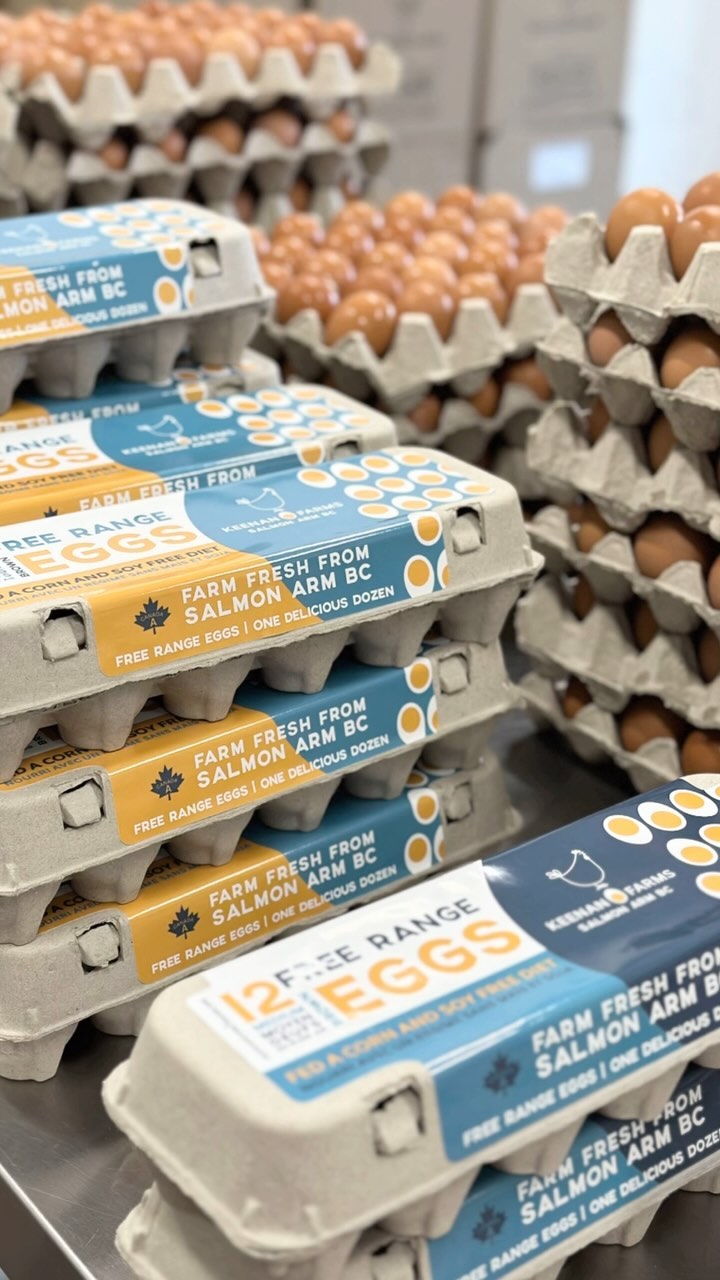 Eggs, Free Range Large Eggs — 15 Dozen