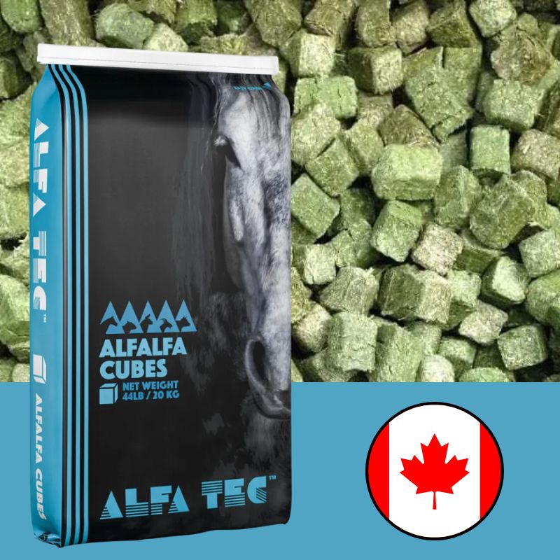 Alfalfa, Cubes - 20 KG - Valley Direct Foods - All - Canadian - Country West