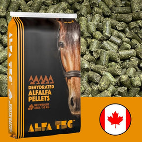 ALFALFA PELLETS 20 KG - Valley Direct Foods - All - Canadian - Country West