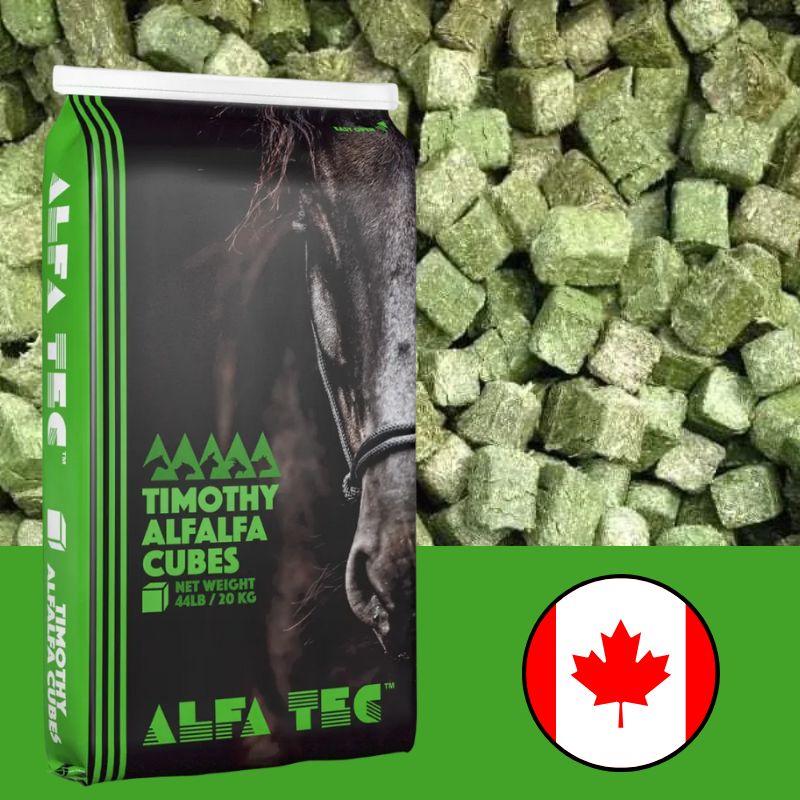 ALFALFA TIMOTHY CUBES 20 KG - Valley Direct Foods - All - Canadian - Country West