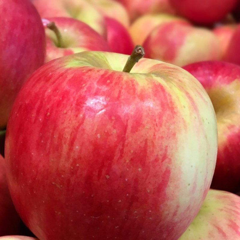 Ambrosia Apples - 40Lb - Valley Direct Foods - Asian - -