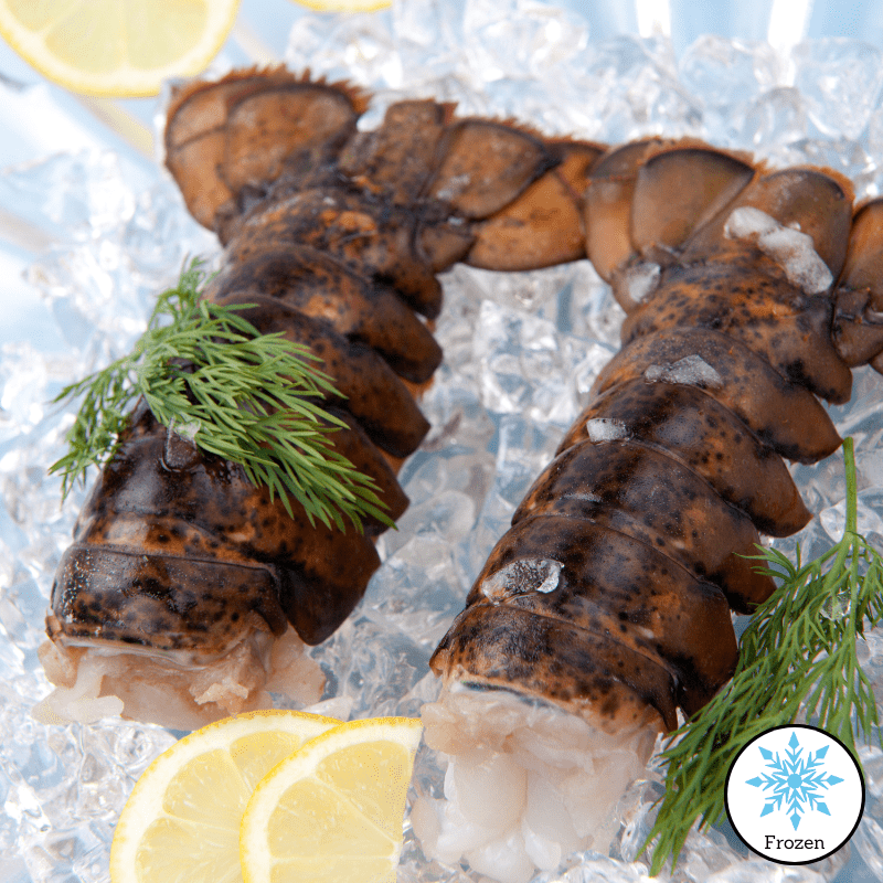 🦞 Atlantic Lobster Tails – Sweet, Tender & Perfectly Portioned (4 - 5 oz - 10lb case) - Valley Direct Foods - All - Canadian - Frozen