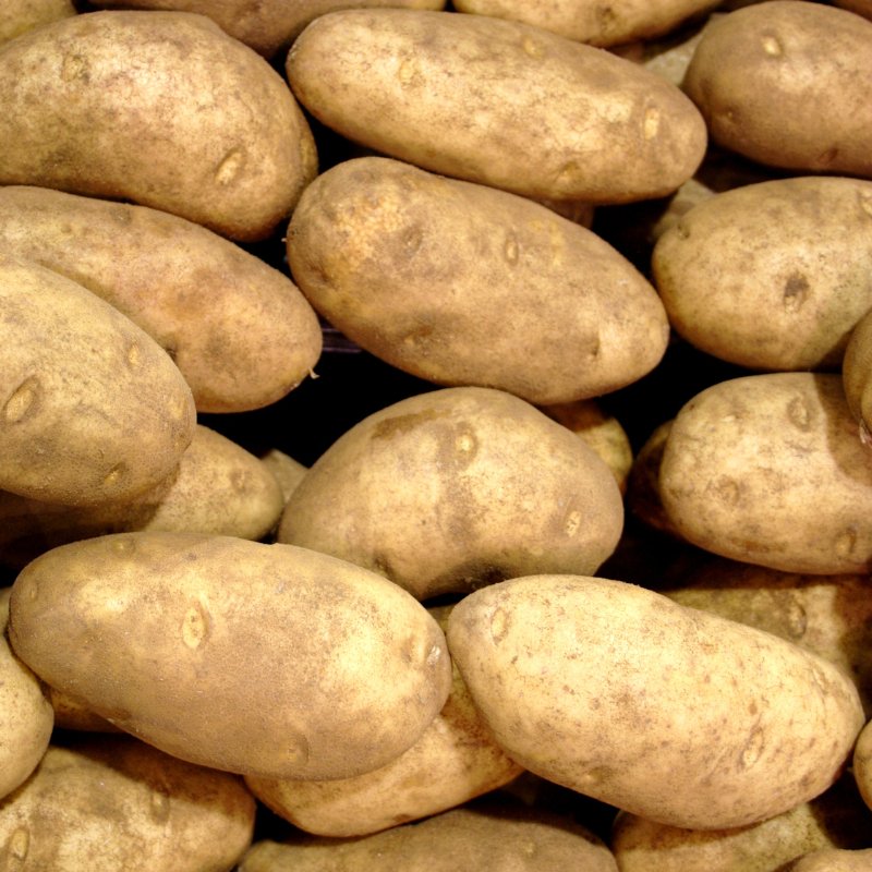 Baker Potatoes 80ct - 50Lb - Valley Direct Foods - All - Fresh - Fresh Vegetable
