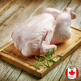 Chicken Whole Fryers - 20 - 21 kg - Valley Direct Foods - All - Canadian - catchweight