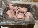 Chicken Whole Fryers Fresh - 20kg - Regular price $197.80 - Valley Direct Foods - All - Canadian - catchweight