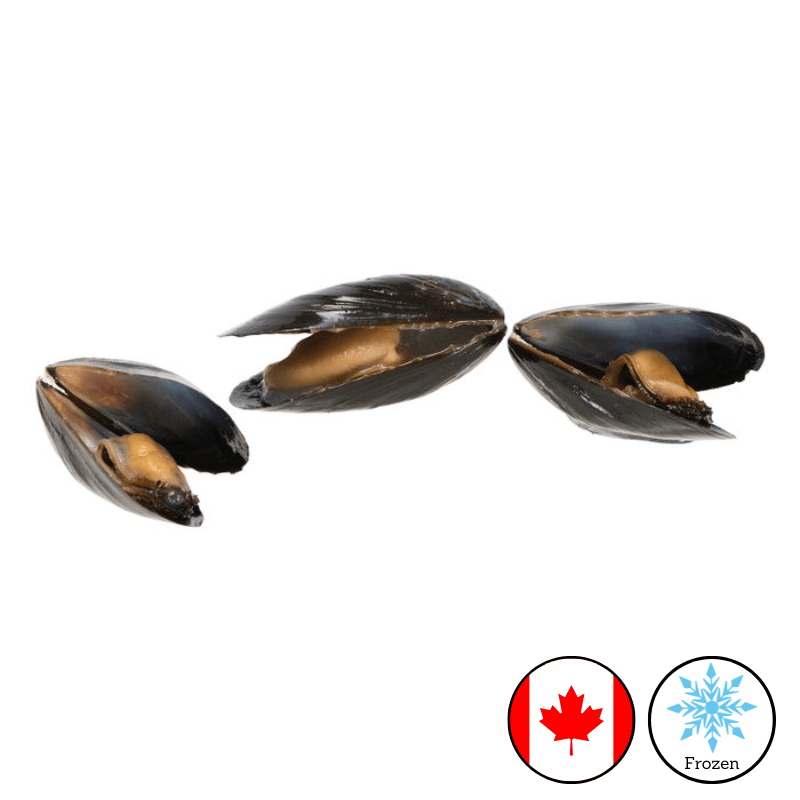 High Liner PEI Mussels (22–28 Ct, Cooked, In Shell – 10 x 454g) - Valley Direct Foods - All - Seafood - Shellfish