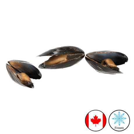 High Liner PEI Mussels (22–28 Ct, Cooked, In Shell – 10 x 454g) - Valley Direct Foods - All - Seafood - Shellfish
