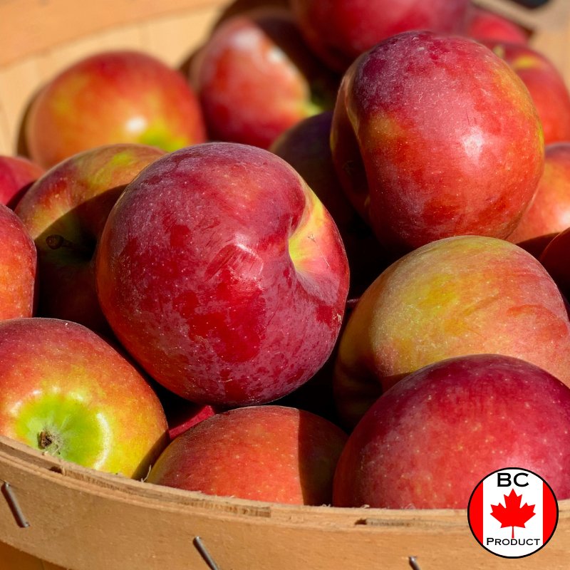 Local Spartan Apples - 10Lb - Valley Direct Foods - All - Canadian - Fresh Fruit