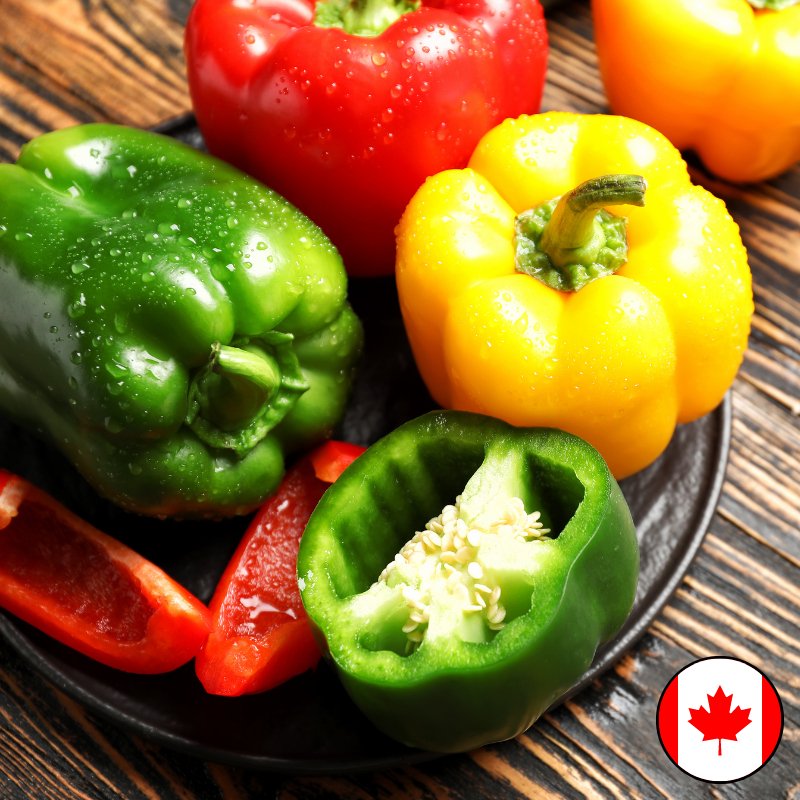Stoplight Pepper Mix - 11lb - Valley Direct Foods - All - Canadian - Fresh
