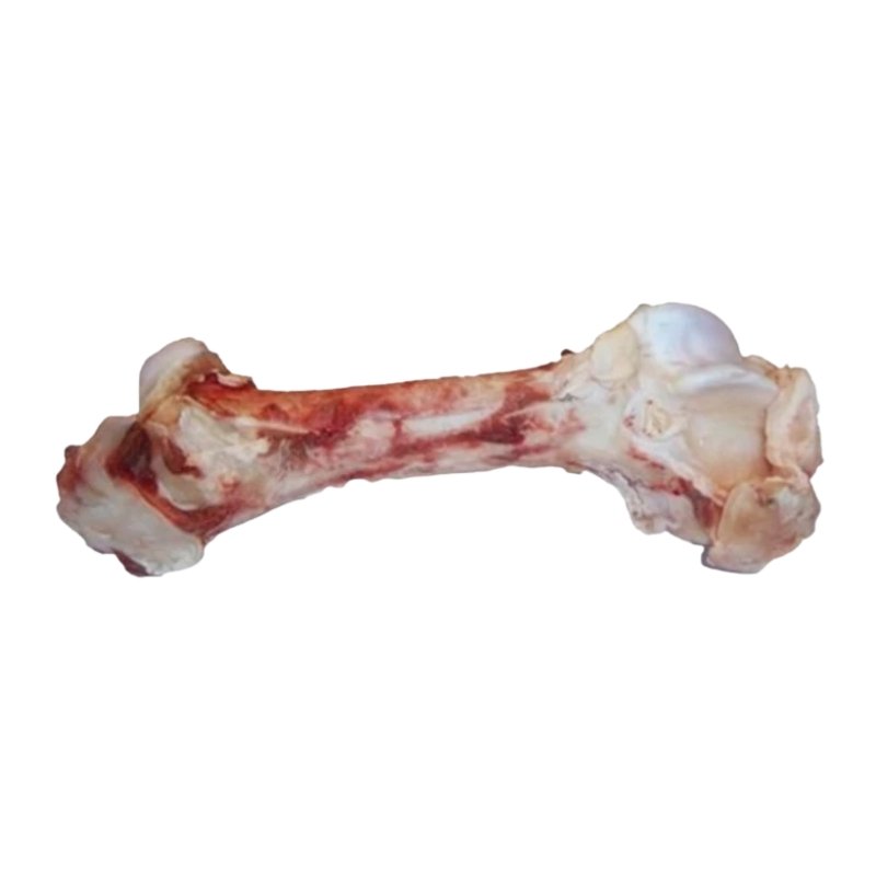 Beef Bones Dino - Dog Treat - Valley Direct Foods - All - Bones - Frozen