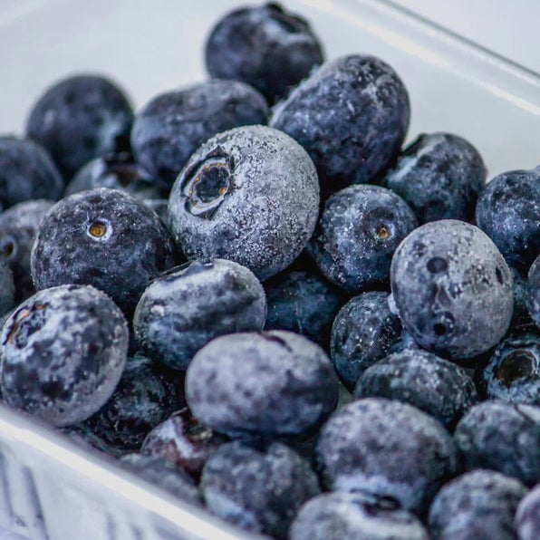 Blueberries Frozen 1.8kg - Valley Direct Foods - All - Canadian - Frozen Fruit