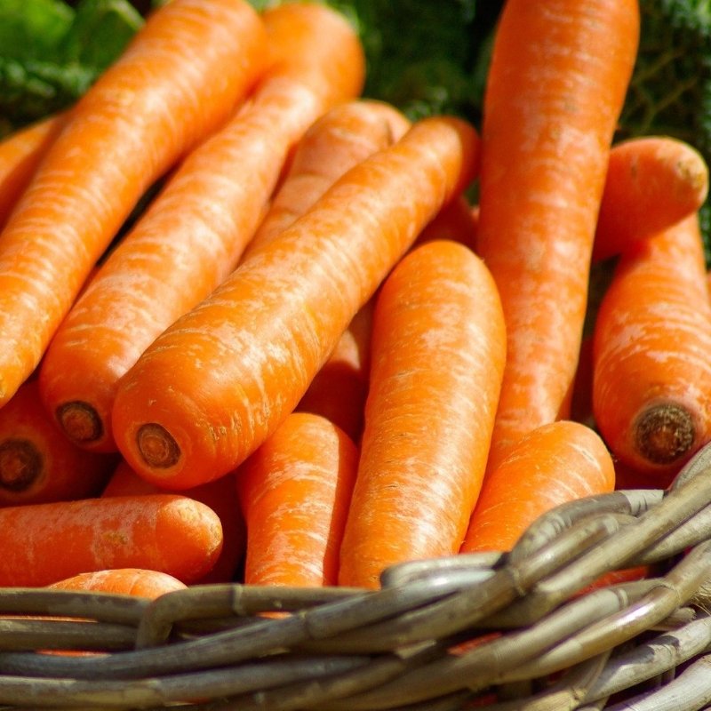 Carrot - Jumbo - Valley Direct Foods - All - Fresh Vegetable - Produce