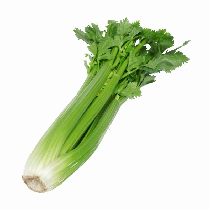 Celery - Case of 24 - Valley Direct Foods - All - Fresh Vegetable - New