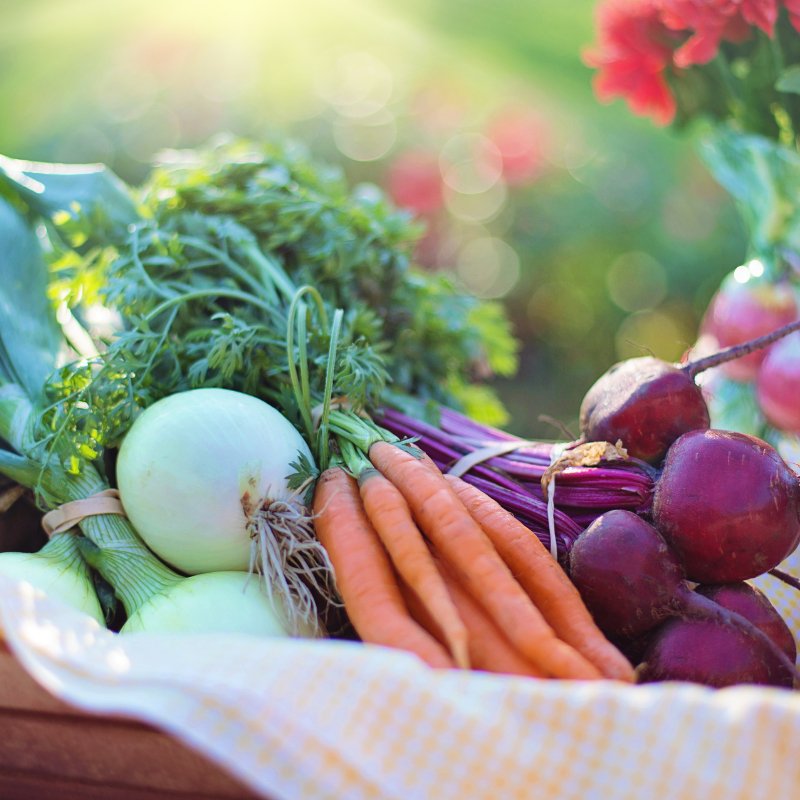 Mini Home Chef Box - No Subs - Valley Direct Foods - All - Fresh Vegetable - Produce