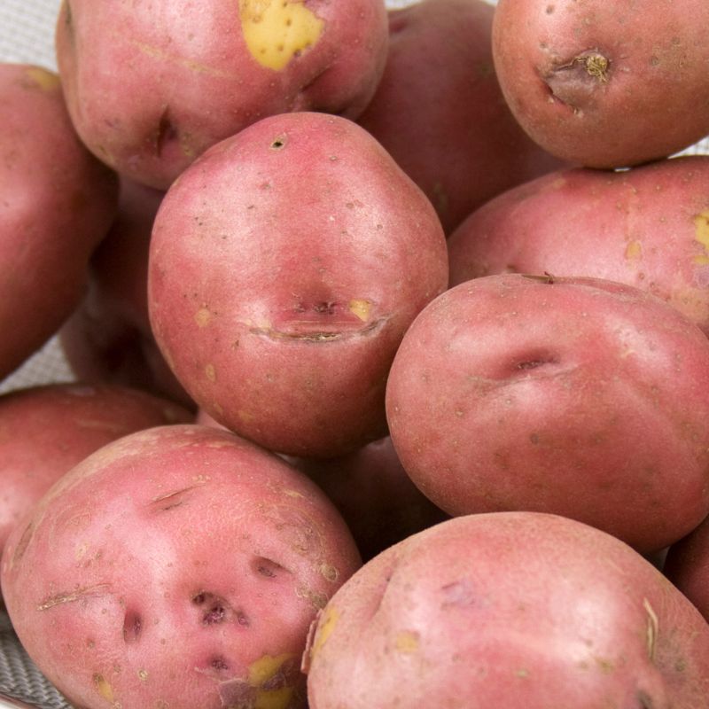 Red Potatoes - 50lb - Valley Direct Foods - All - Fresh Vegetable - Produce