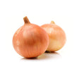 Yellow Medium Onions 50 Lbs - Valley Direct Foods - -