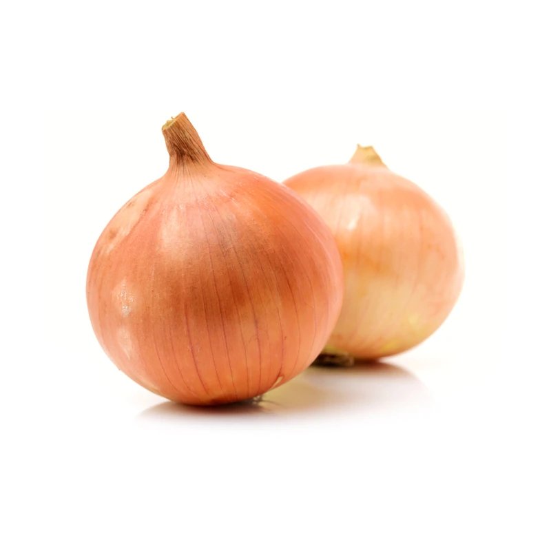 Yellow Medium Onions 50 Lbs - Valley Direct Foods - -